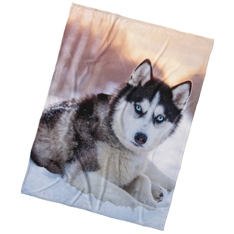 Deka Pes Sibírsky Husky
