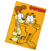 Deka Garfield a kamarát Odie