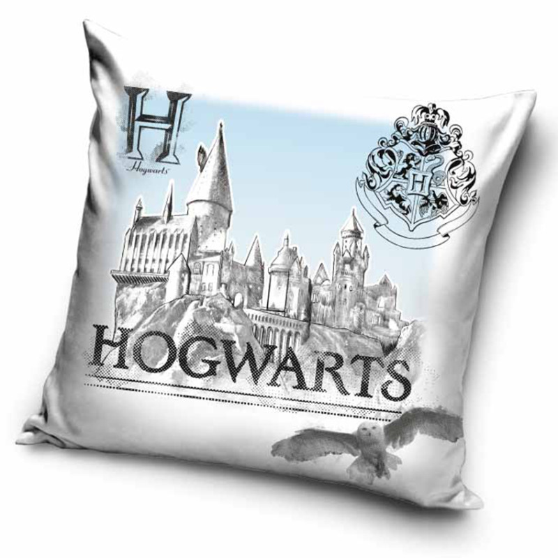 Povlak na polštářek Harry Potter Bradavický Portrét