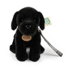 Plyšový pes labrador černý s vodítkem 25 cm ECO-FRIENDLY