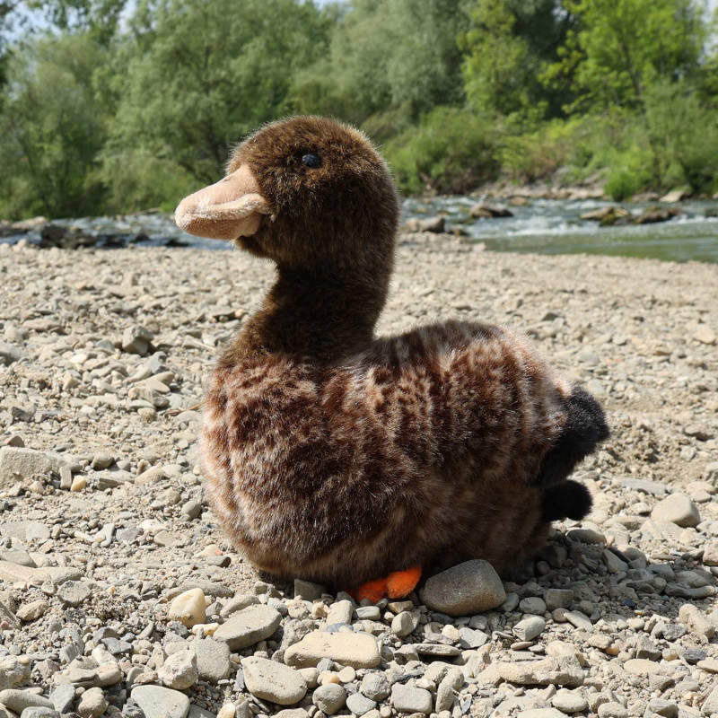 Plyšová kachna 23 cm ECO-FRIENDLY