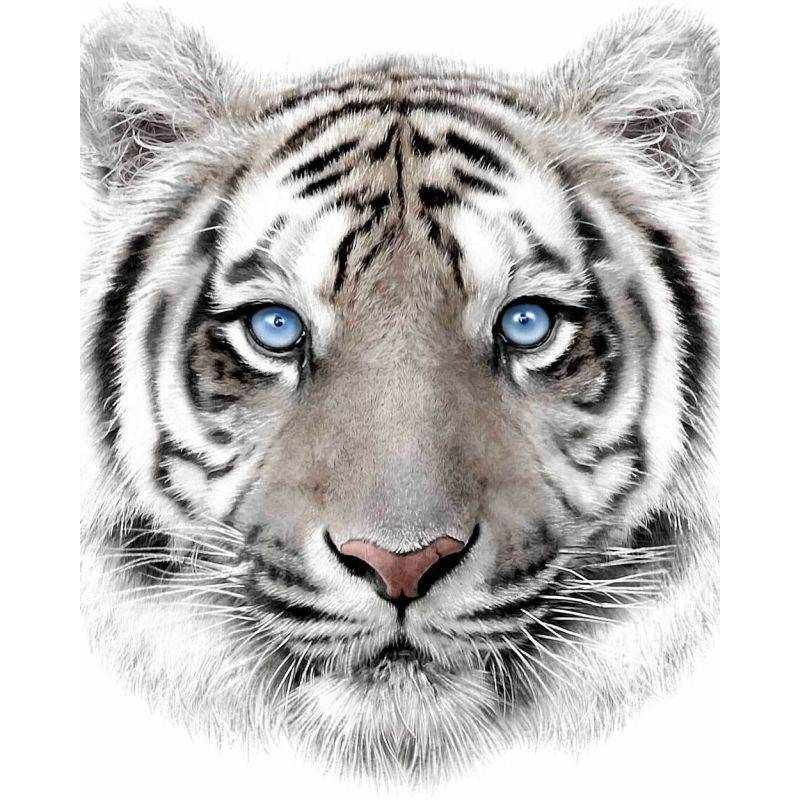 Deka Biely Tiger s digitálnou potlačou