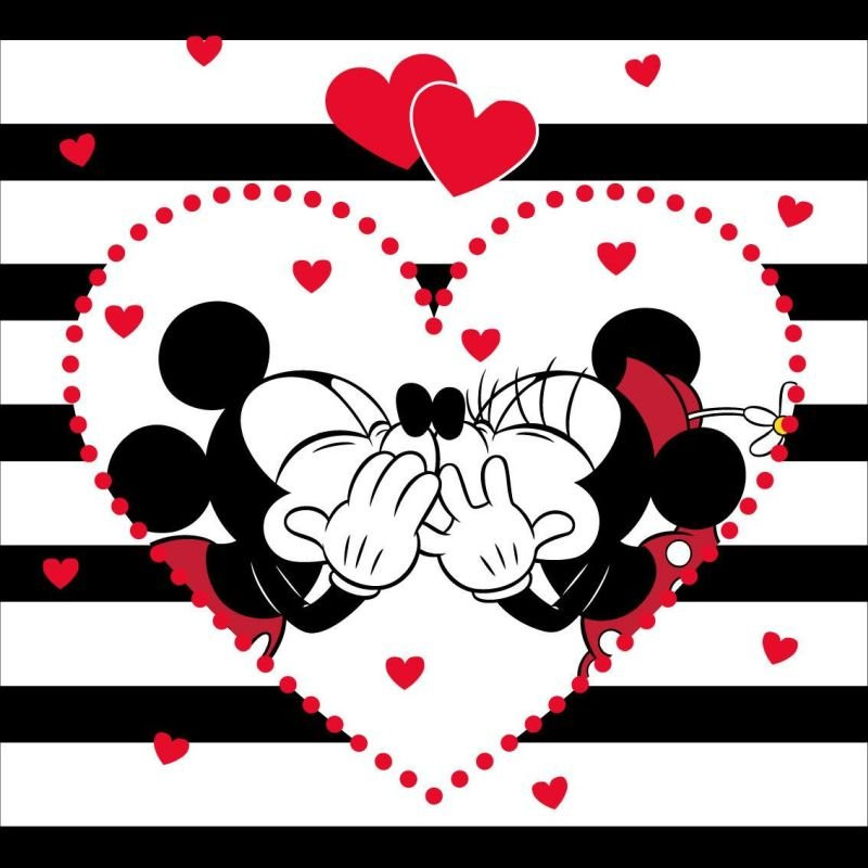 Povlak na vankúšik Mickey a Minnie stripes