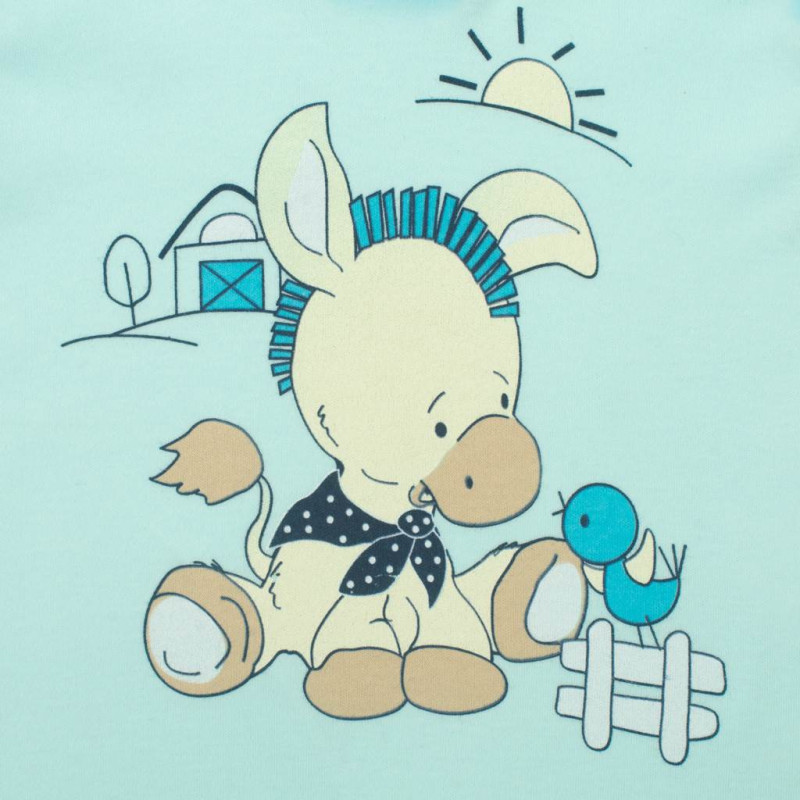 Body New Baby Donkey