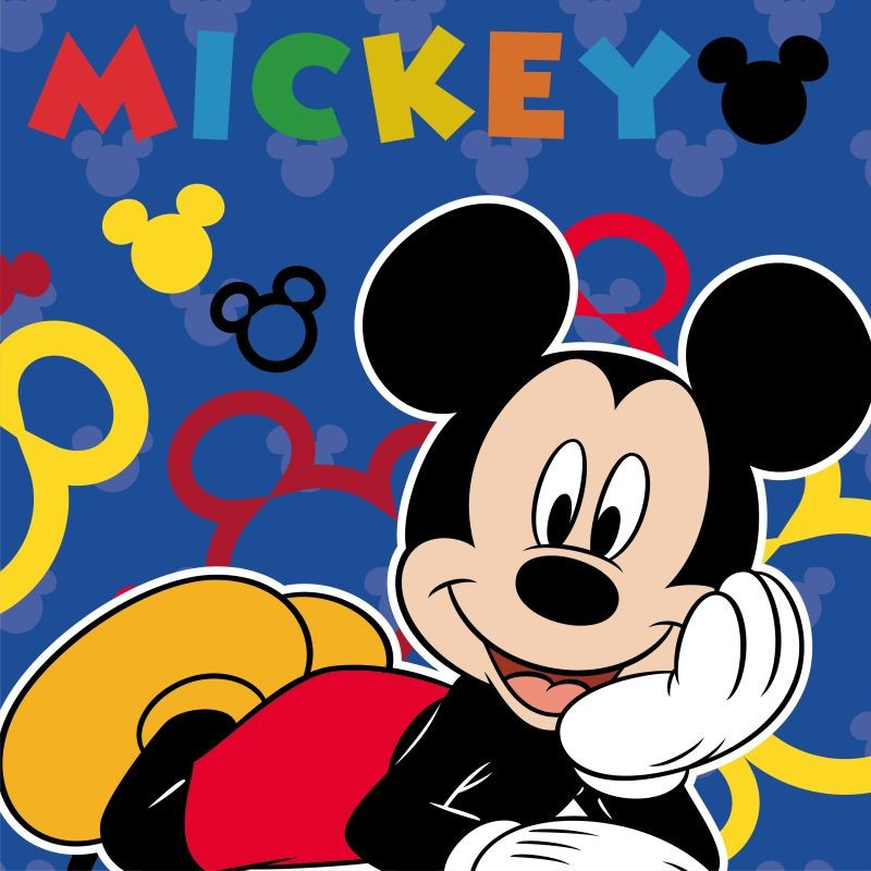 Magický uteráčik Mickey