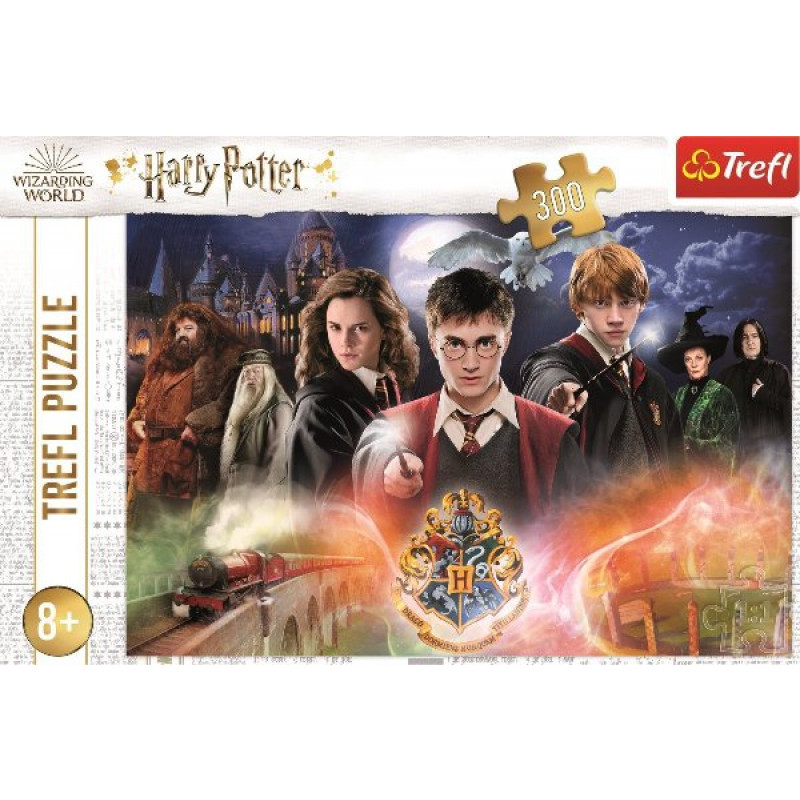 PUZZLE HARRY POTTER 300 dielikov