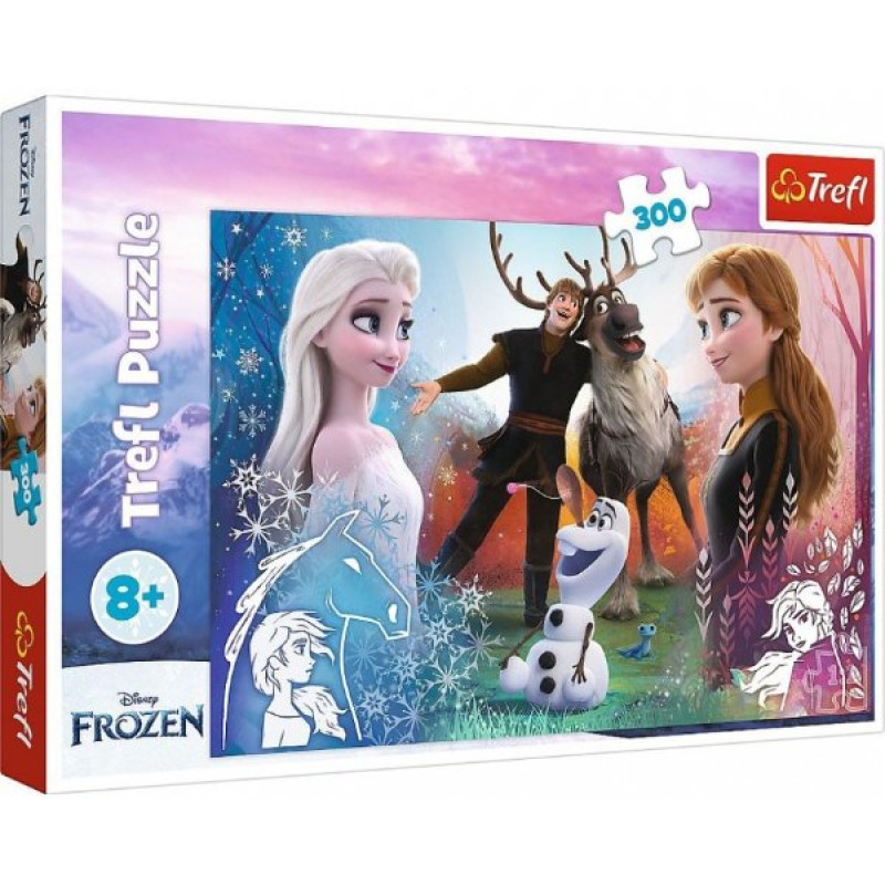 PUZZLE FROZEN 2 KÚZELNÝ ČAS 300 dielikov