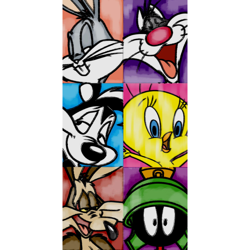 Osuška Looney Tunes Trhliaci