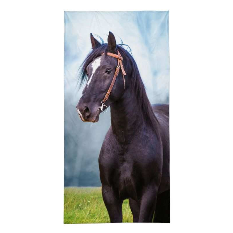 Osuška Kôň čierny