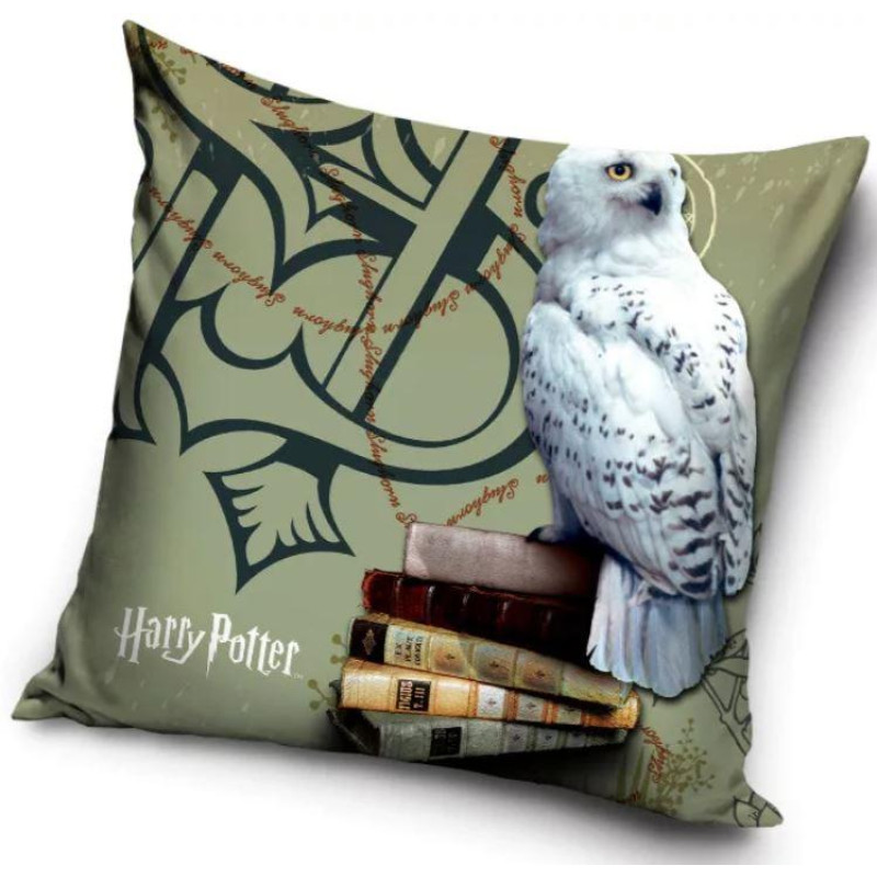 Povlak na vankúšik HARRY POTTER