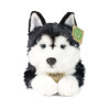 Plyšový pes husky 36 cm ECO-FRIENDLY