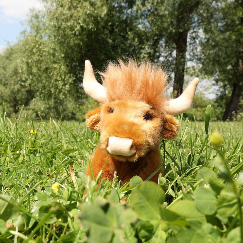 Plyšový skotský náhorní skot 16 cm ECO-FRIENDLY