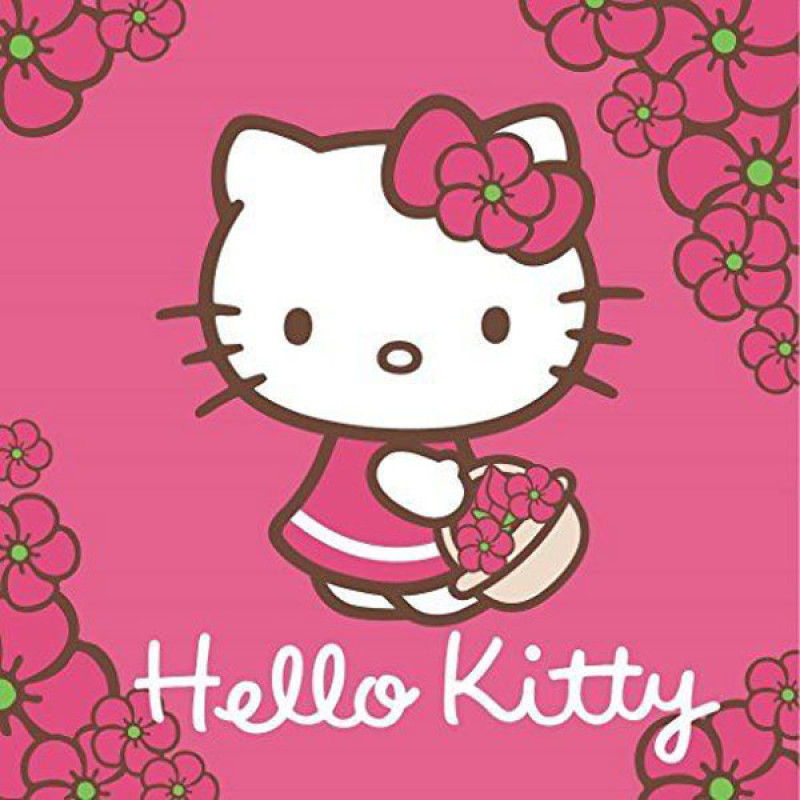 Kúzelný uteráčik Hello Kitty